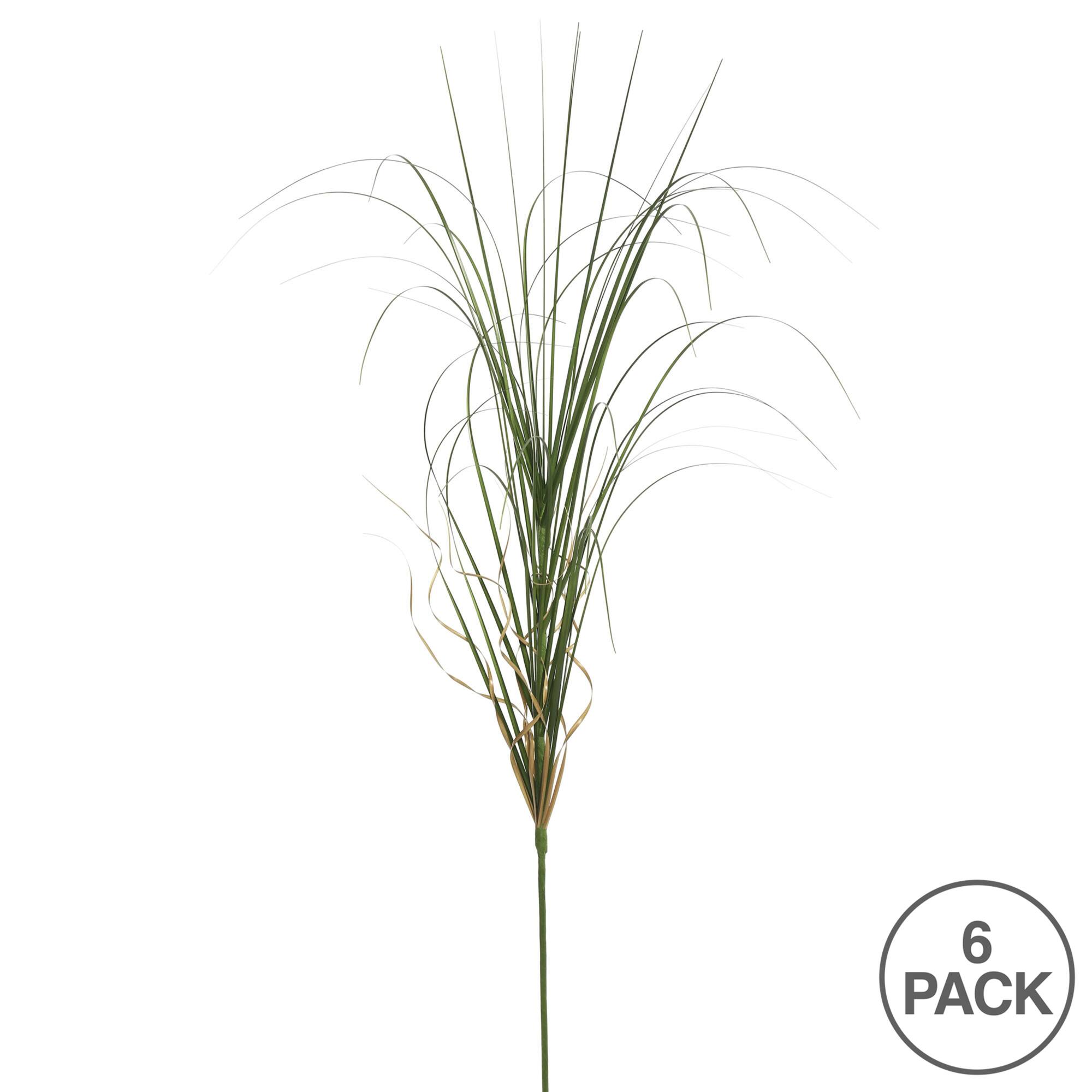 6 Pack: Green Curled Grass Spray